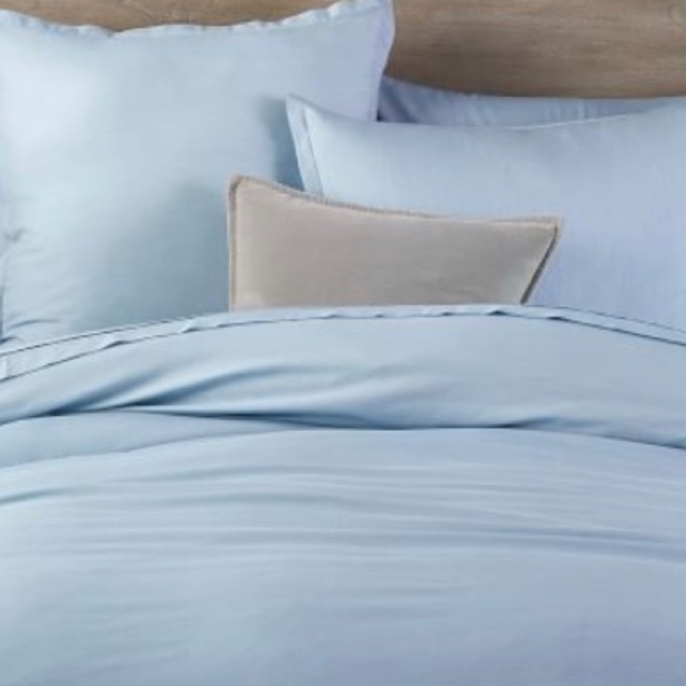 Pottery Barn Duvet with 2sets of shams